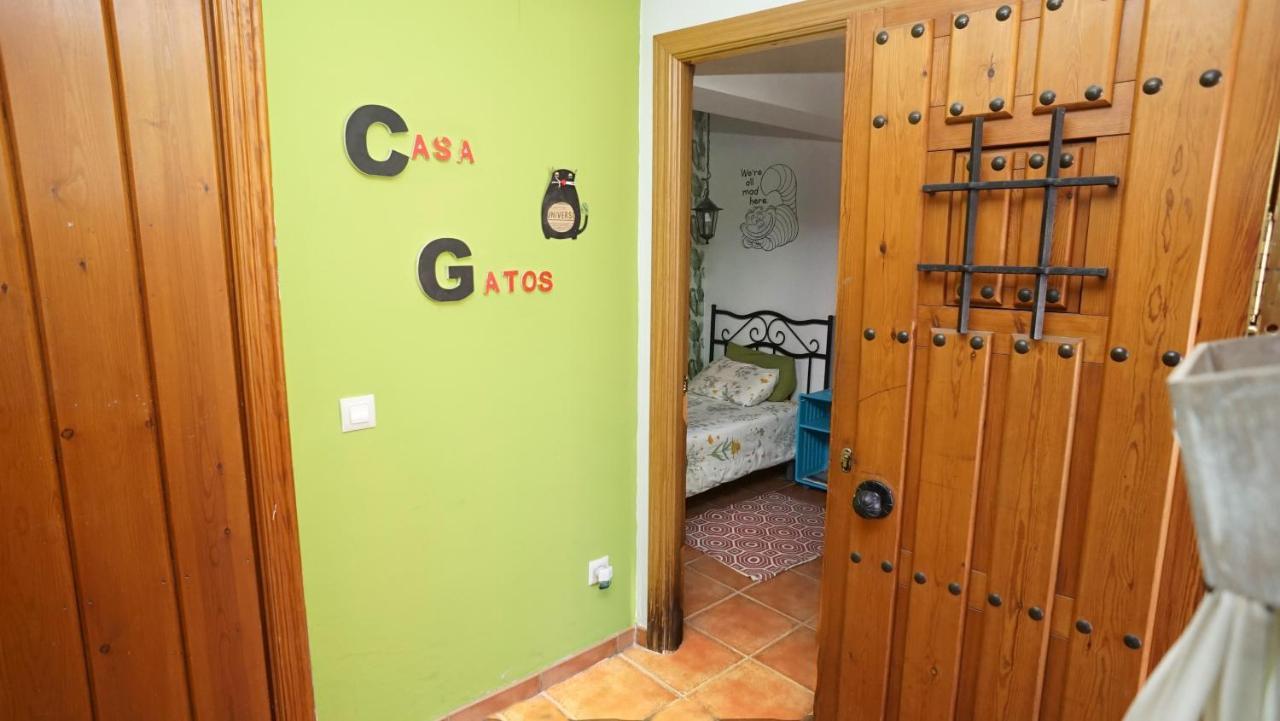 Casa Gatos Apartment Toledo Ngoại thất bức ảnh